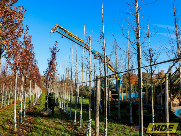 mde-bomenlaadkraan-8700e4-1