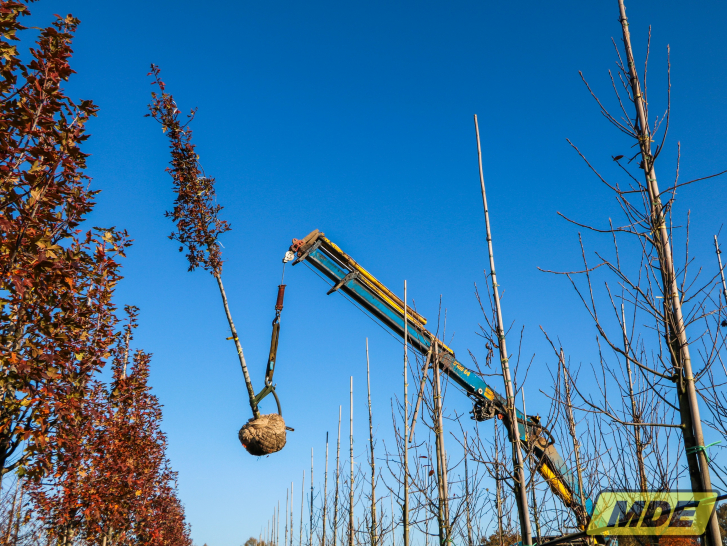 mde-bomenlaadkraan-8700e4-boom-in-lucht1