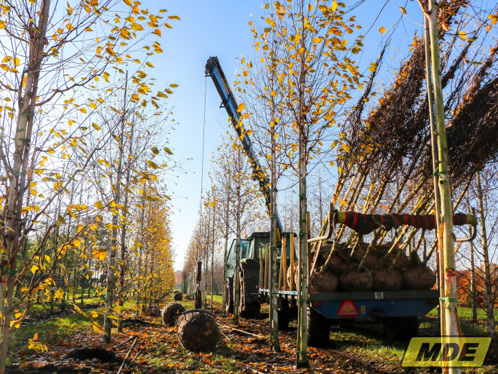 mde-bomenlaadkraan-8700e4